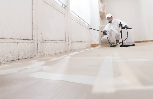 24/7 Emergency Attic Mold Remediation experts in Evanston, IL