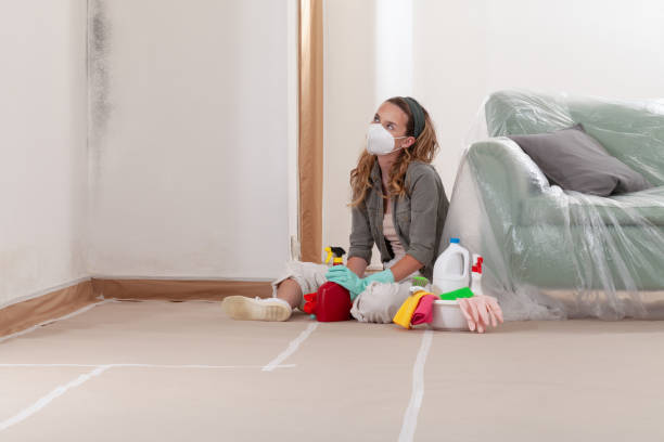Reliable Attic Mold Remediation contractor in Evanston, IL by Mold Remediation HQ