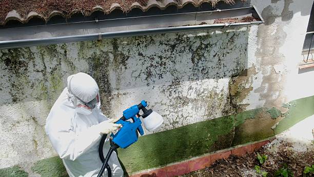 Top rated local Attic Mold Remediation specialists in Evanston, IL